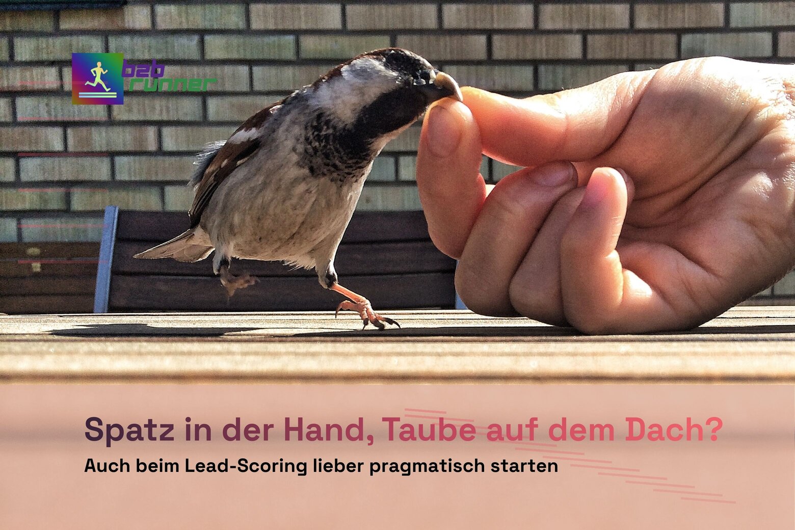 Spatz an einer Hand -sinnbildlich für iteratives Vorgehen im Lead Management