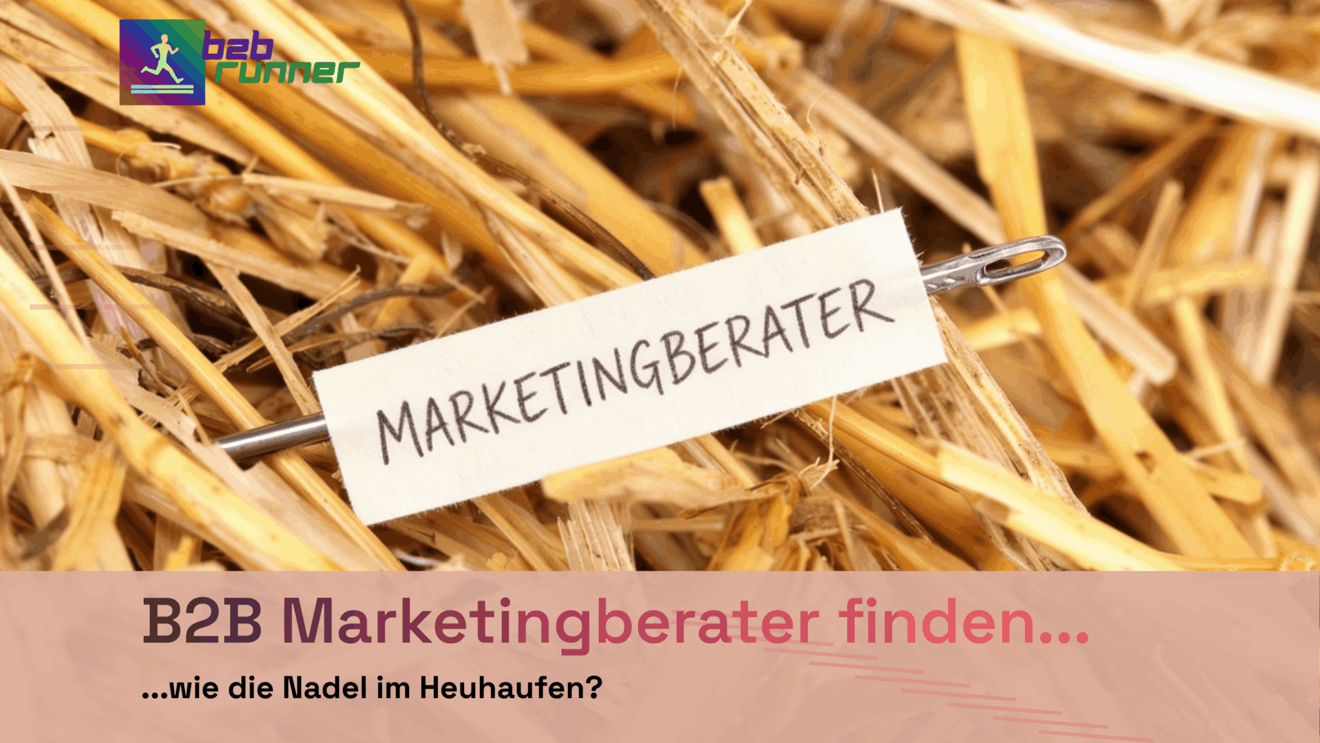 Nadel im Heuhaufen? Die Suche nach dem perfekten Marketingberater für B2B