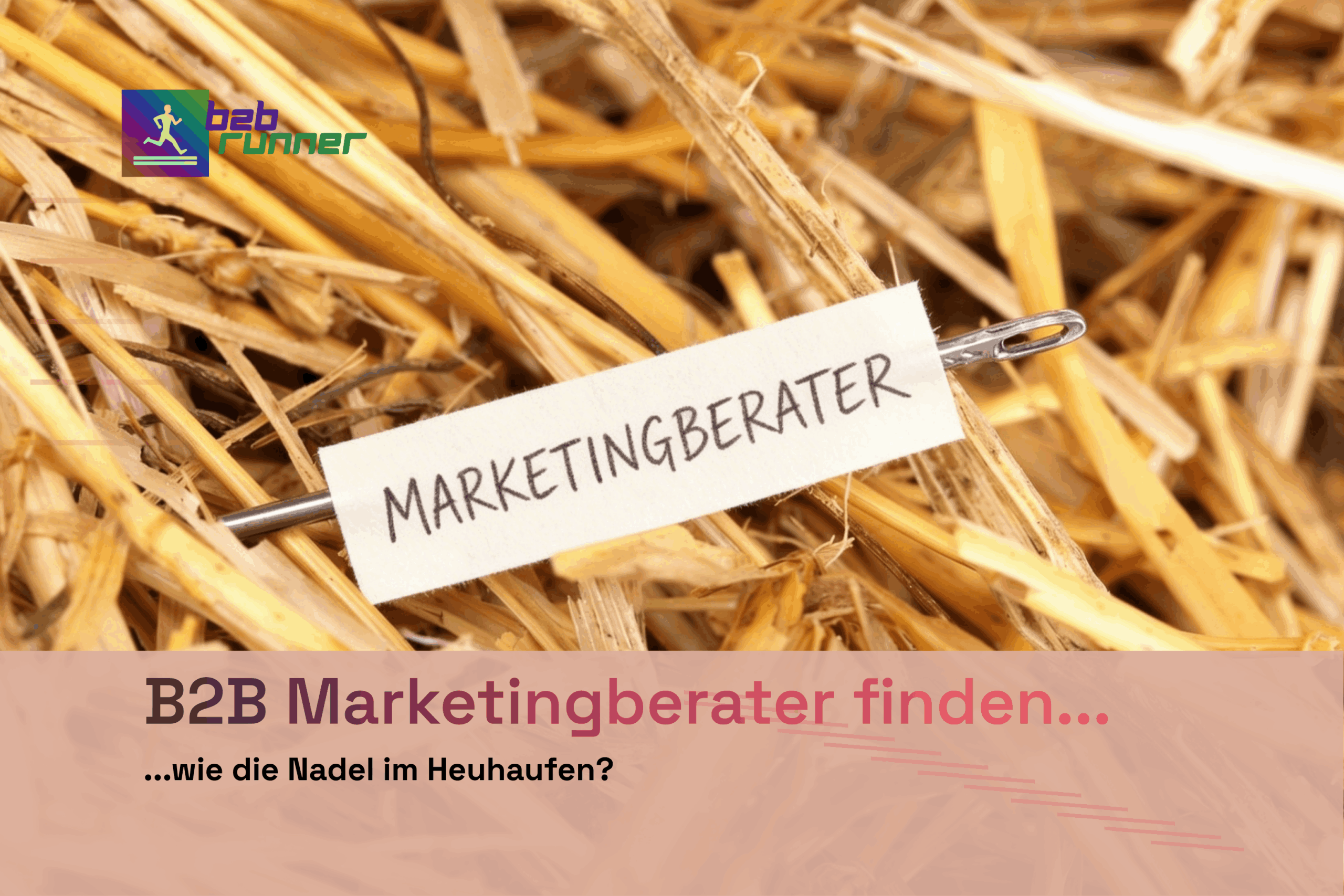 Nadel im Heuhaufen? Die Suche nach dem perfekten Marketingberater für B2B